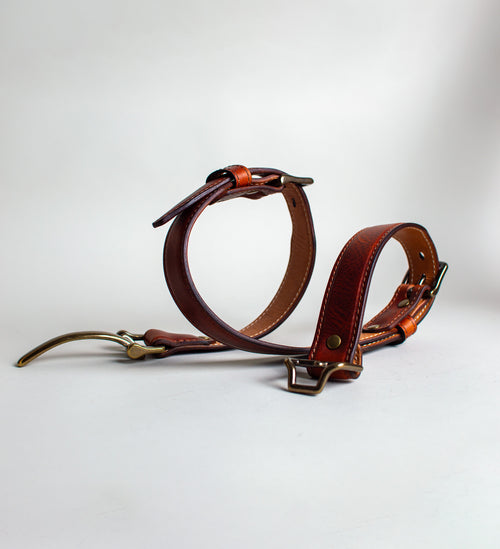 Equestrian Amber