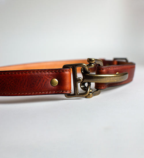 Equestrian Amber