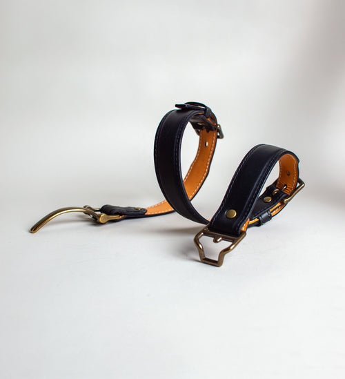 Equestrian Nuit